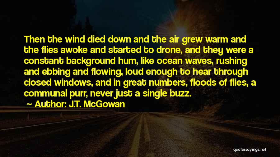 J.T. McGowan Quotes: Then The Wind Died Down And The Air Grew Warm And The Flies Awoke And Started To Drone, And They