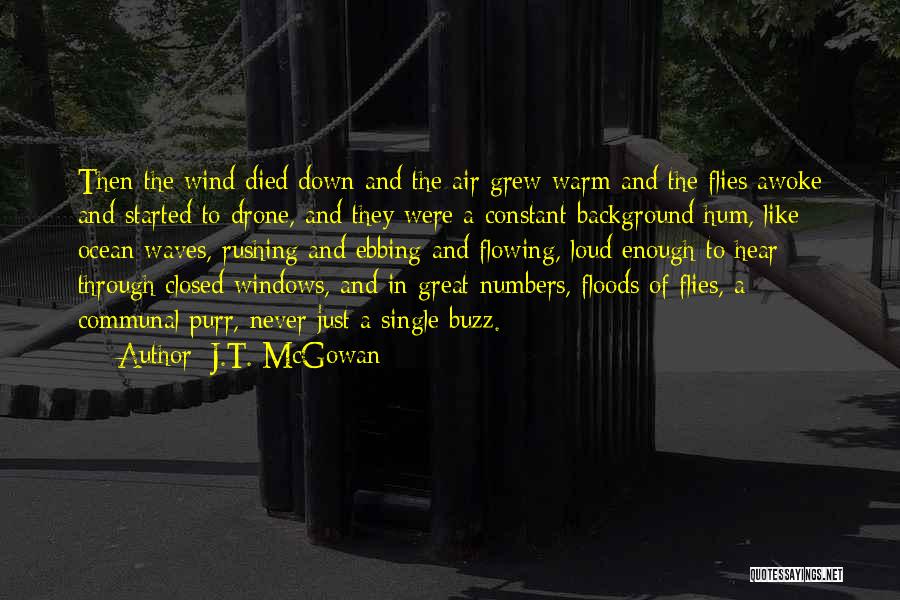 J.T. McGowan Quotes: Then The Wind Died Down And The Air Grew Warm And The Flies Awoke And Started To Drone, And They