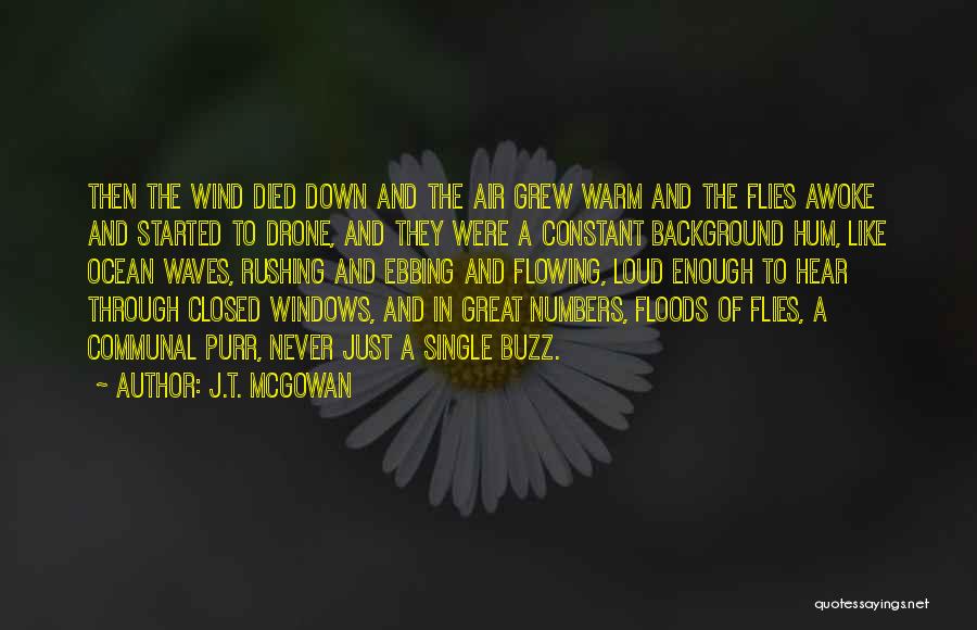 J.T. McGowan Quotes: Then The Wind Died Down And The Air Grew Warm And The Flies Awoke And Started To Drone, And They