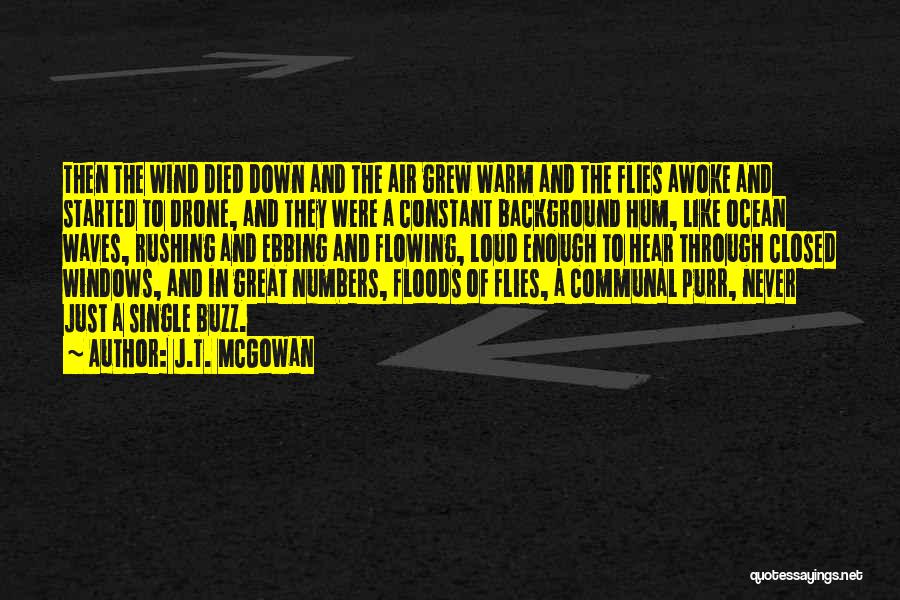 J.T. McGowan Quotes: Then The Wind Died Down And The Air Grew Warm And The Flies Awoke And Started To Drone, And They