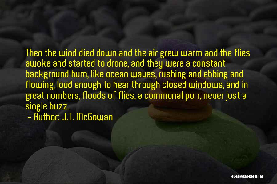 J.T. McGowan Quotes: Then The Wind Died Down And The Air Grew Warm And The Flies Awoke And Started To Drone, And They