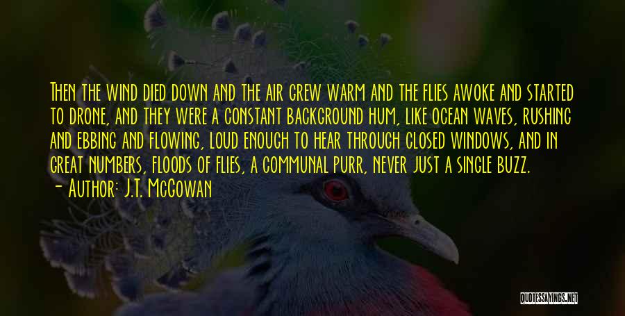 J.T. McGowan Quotes: Then The Wind Died Down And The Air Grew Warm And The Flies Awoke And Started To Drone, And They