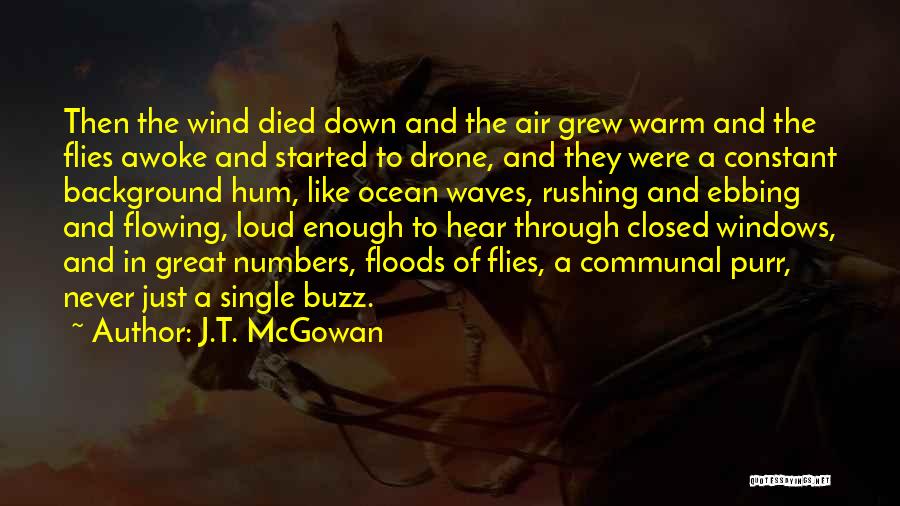 J.T. McGowan Quotes: Then The Wind Died Down And The Air Grew Warm And The Flies Awoke And Started To Drone, And They