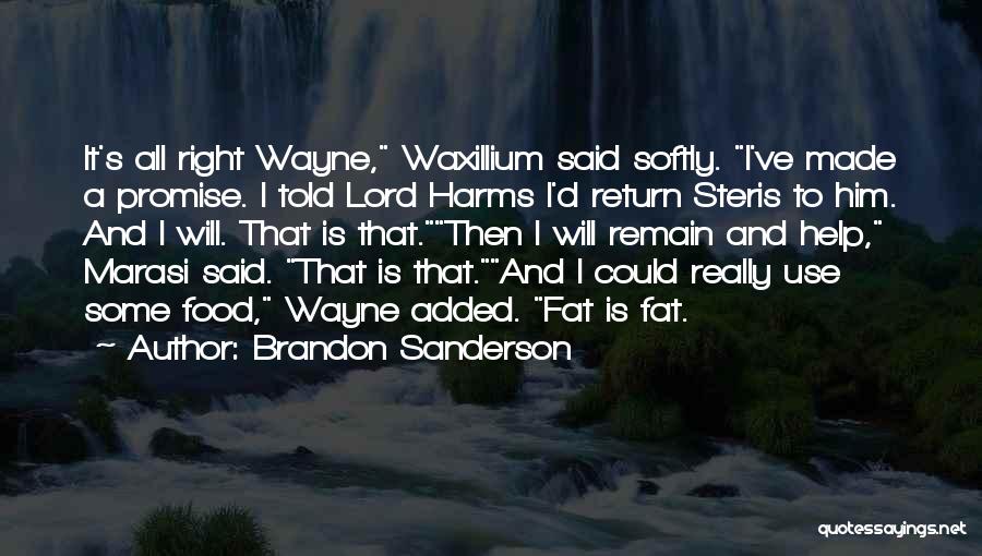 Brandon Sanderson Quotes: It's All Right Wayne, Waxillium Said Softly. I've Made A Promise. I Told Lord Harms I'd Return Steris To Him.