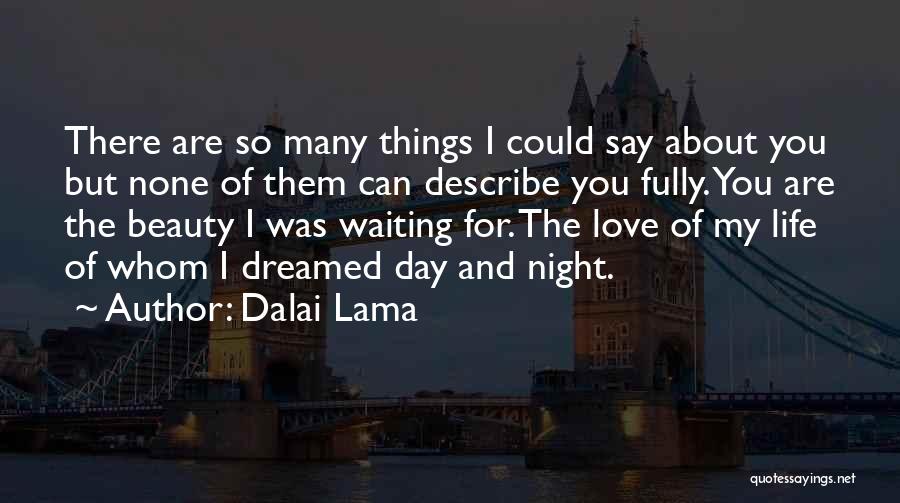 Dalai Lama Quotes: There Are So Many Things I Could Say About You But None Of Them Can Describe You Fully. You Are