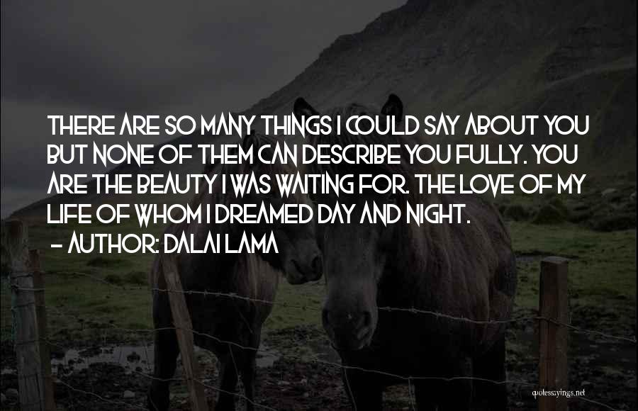 Dalai Lama Quotes: There Are So Many Things I Could Say About You But None Of Them Can Describe You Fully. You Are