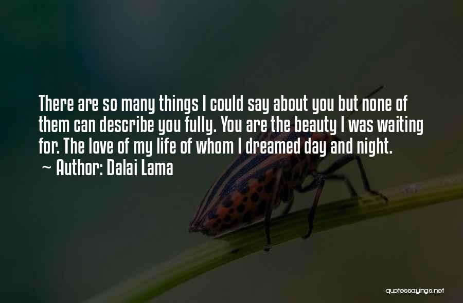 Dalai Lama Quotes: There Are So Many Things I Could Say About You But None Of Them Can Describe You Fully. You Are