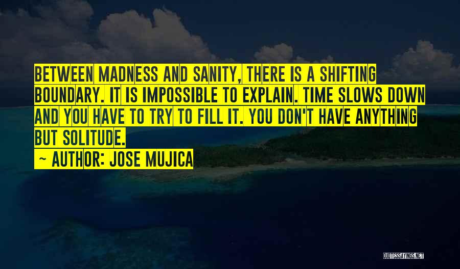 Jose Mujica Quotes: Between Madness And Sanity, There Is A Shifting Boundary. It Is Impossible To Explain. Time Slows Down And You Have