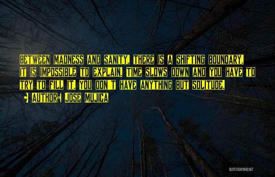 Jose Mujica Quotes: Between Madness And Sanity, There Is A Shifting Boundary. It Is Impossible To Explain. Time Slows Down And You Have