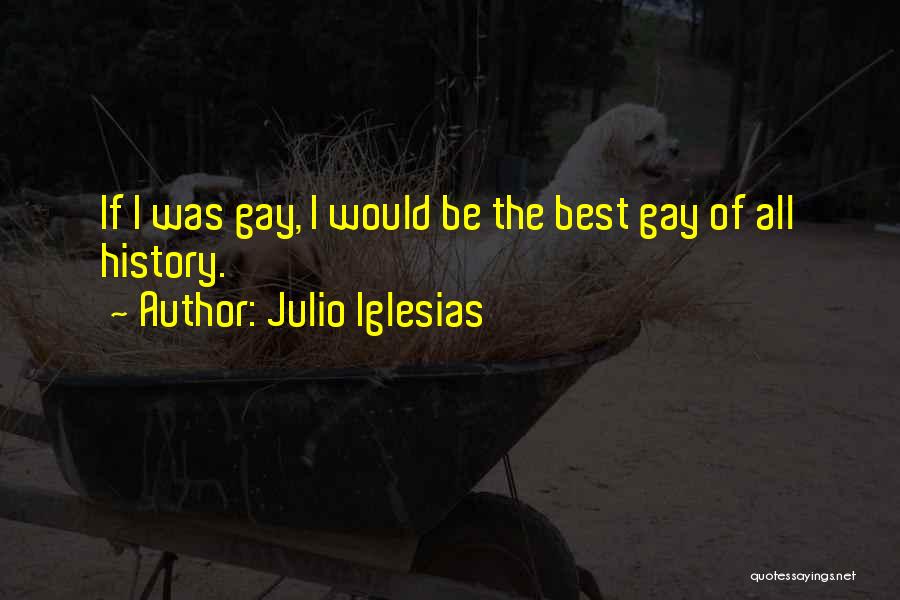 Julio Iglesias Quotes: If I Was Gay, I Would Be The Best Gay Of All History.
