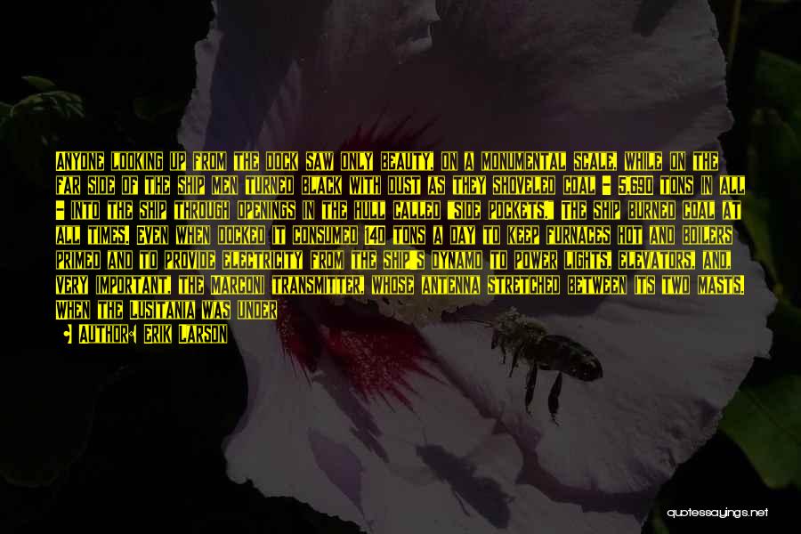 Erik Larson Quotes: Anyone Looking Up From The Dock Saw Only Beauty, On A Monumental Scale, While On The Far Side Of The