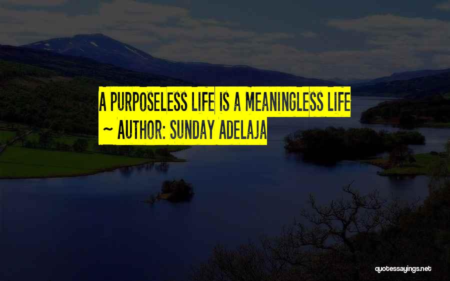 Sunday Adelaja Quotes: A Purposeless Life Is A Meaningless Life