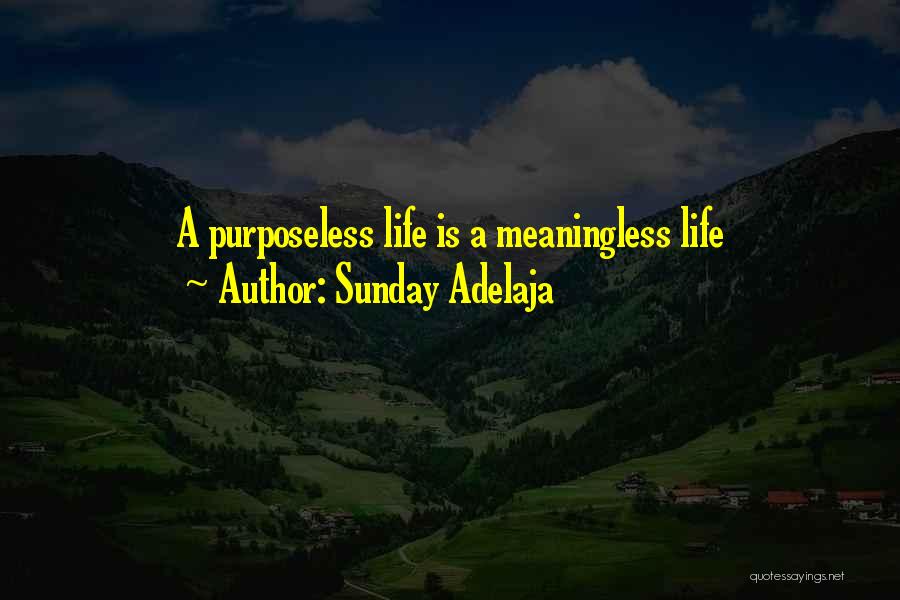 Sunday Adelaja Quotes: A Purposeless Life Is A Meaningless Life