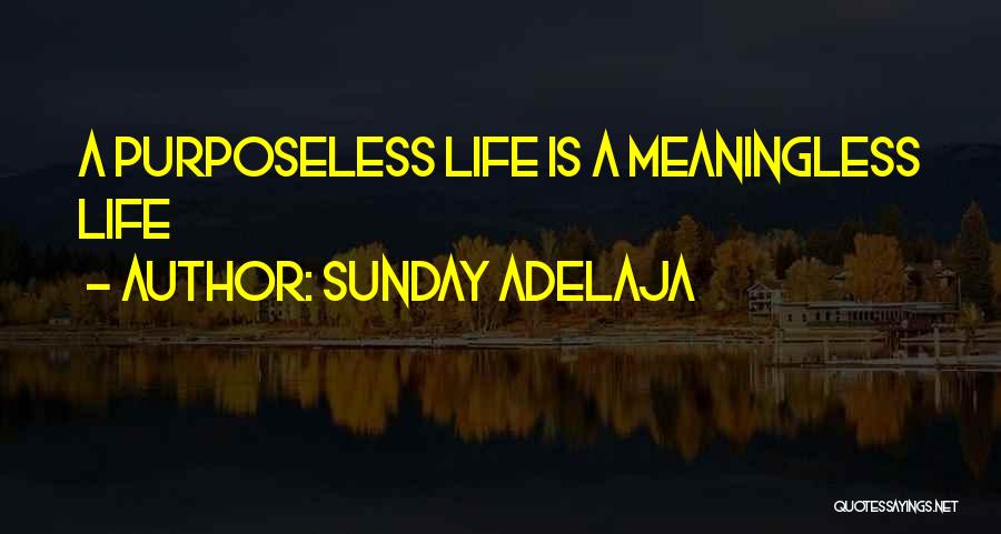Sunday Adelaja Quotes: A Purposeless Life Is A Meaningless Life