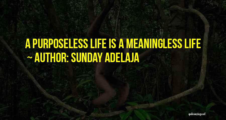 Sunday Adelaja Quotes: A Purposeless Life Is A Meaningless Life