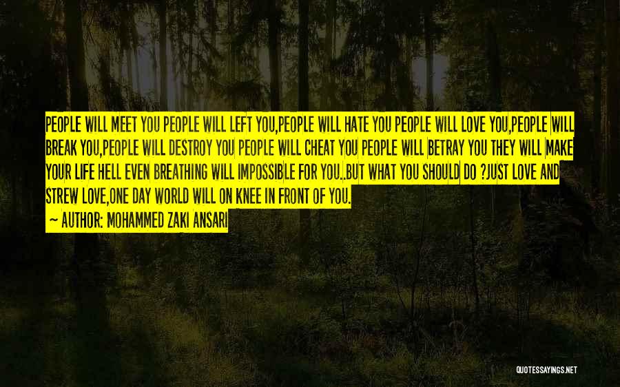 Mohammed Zaki Ansari Quotes: People Will Meet You People Will Left You,people Will Hate You People Will Love You,people Will Break You,people Will Destroy