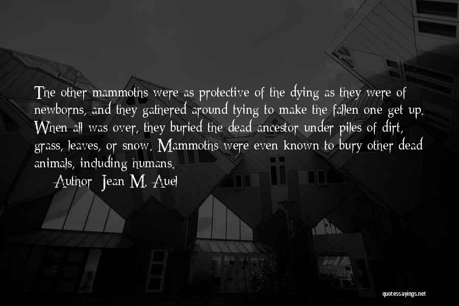 Jean M. Auel Quotes: The Other Mammoths Were As Protective Of The Dying As They Were Of Newborns, And They Gathered Around Tying To