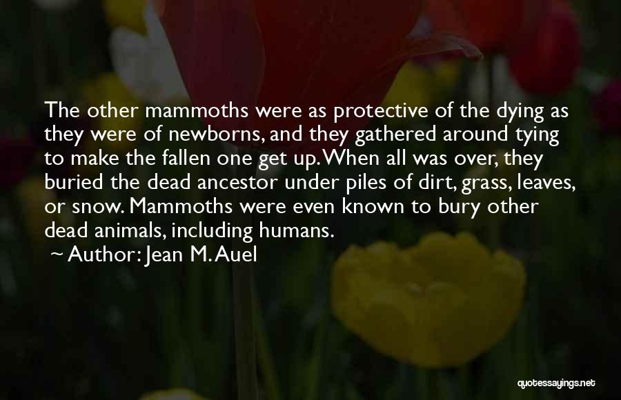 Jean M. Auel Quotes: The Other Mammoths Were As Protective Of The Dying As They Were Of Newborns, And They Gathered Around Tying To