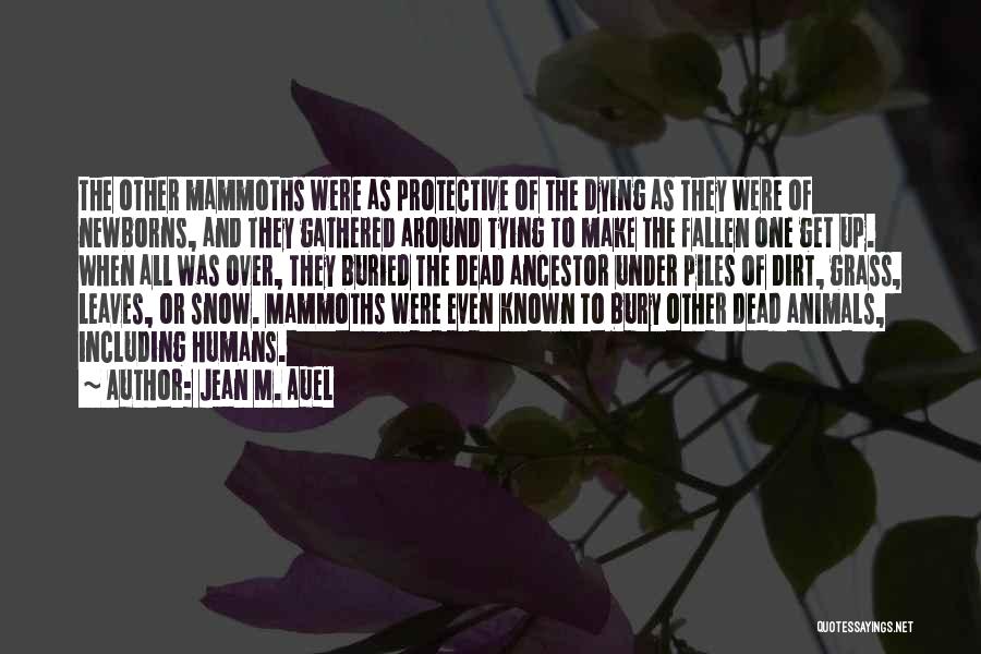 Jean M. Auel Quotes: The Other Mammoths Were As Protective Of The Dying As They Were Of Newborns, And They Gathered Around Tying To