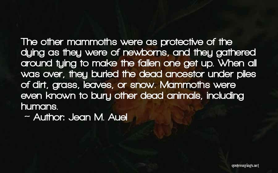 Jean M. Auel Quotes: The Other Mammoths Were As Protective Of The Dying As They Were Of Newborns, And They Gathered Around Tying To