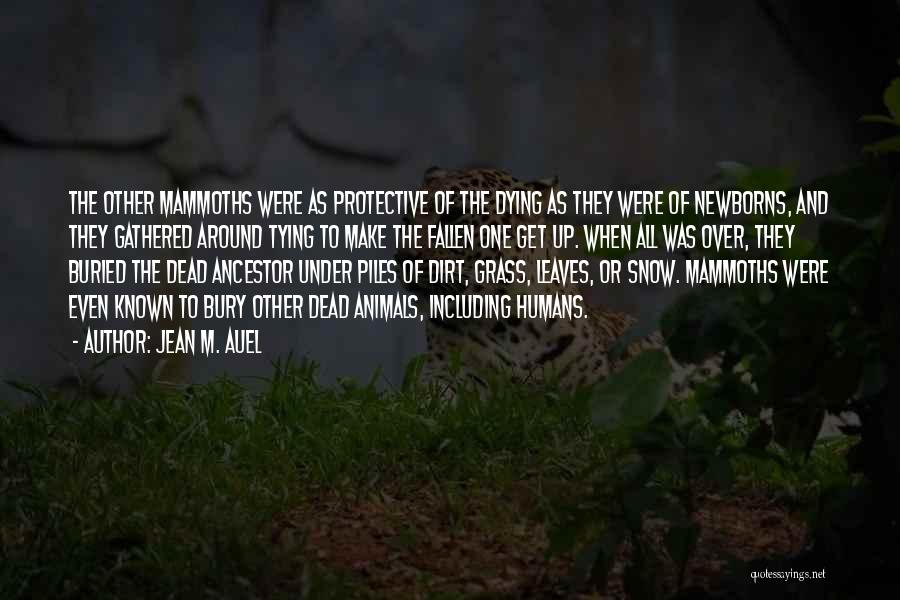 Jean M. Auel Quotes: The Other Mammoths Were As Protective Of The Dying As They Were Of Newborns, And They Gathered Around Tying To