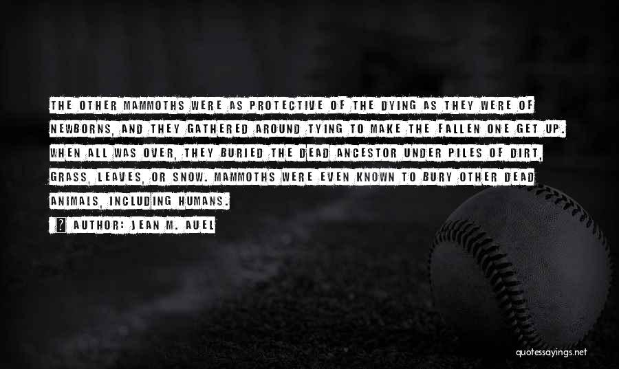 Jean M. Auel Quotes: The Other Mammoths Were As Protective Of The Dying As They Were Of Newborns, And They Gathered Around Tying To