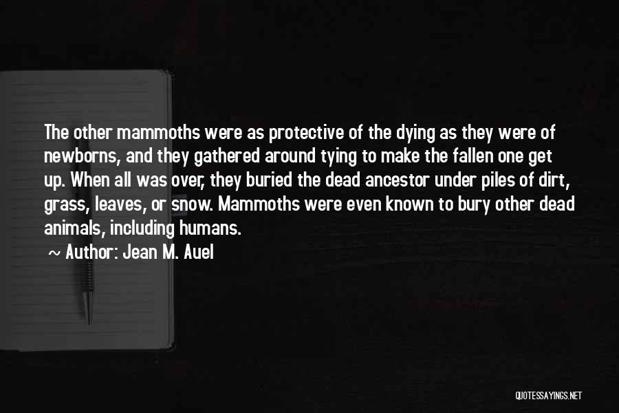 Jean M. Auel Quotes: The Other Mammoths Were As Protective Of The Dying As They Were Of Newborns, And They Gathered Around Tying To