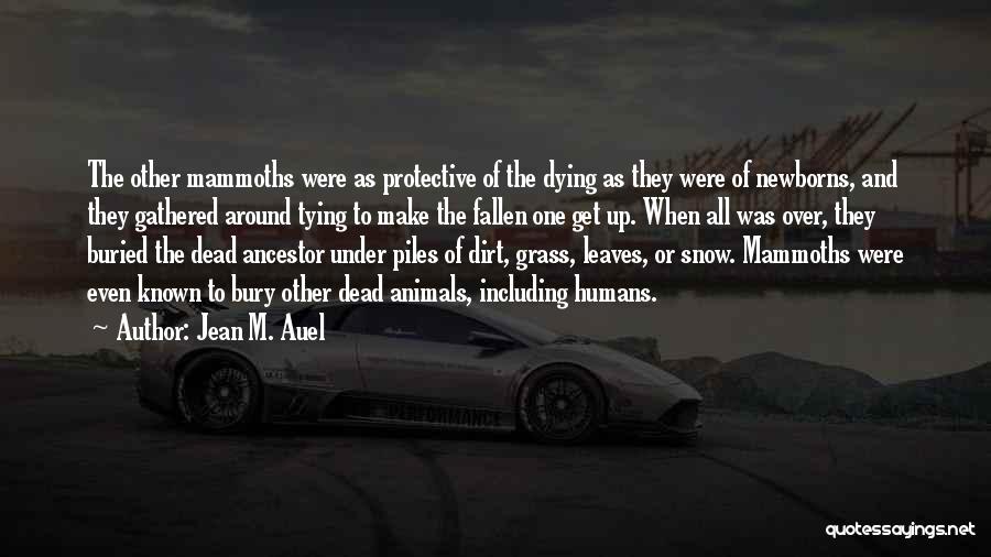 Jean M. Auel Quotes: The Other Mammoths Were As Protective Of The Dying As They Were Of Newborns, And They Gathered Around Tying To