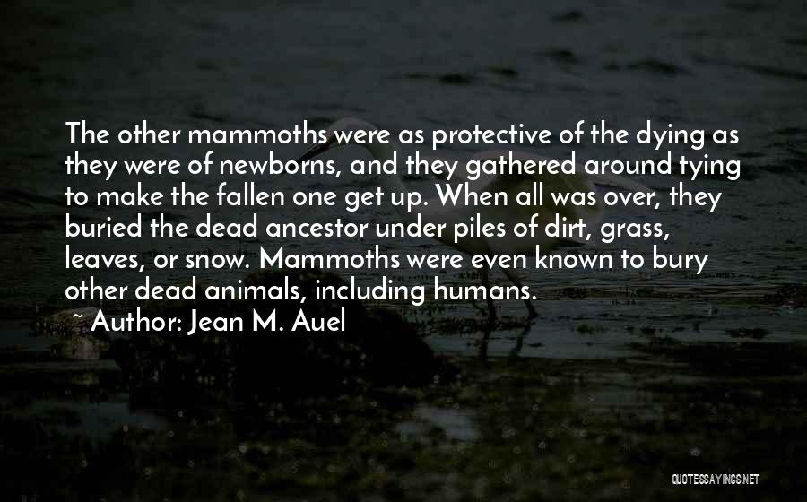 Jean M. Auel Quotes: The Other Mammoths Were As Protective Of The Dying As They Were Of Newborns, And They Gathered Around Tying To