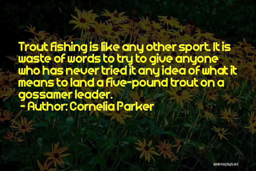 Cornelia Parker Quotes: Trout Fishing Is Like Any Other Sport. It Is Waste Of Words To Try To Give Anyone Who Has Never