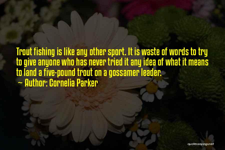 Cornelia Parker Quotes: Trout Fishing Is Like Any Other Sport. It Is Waste Of Words To Try To Give Anyone Who Has Never