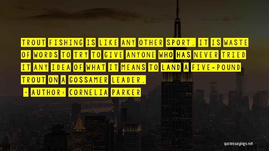 Cornelia Parker Quotes: Trout Fishing Is Like Any Other Sport. It Is Waste Of Words To Try To Give Anyone Who Has Never