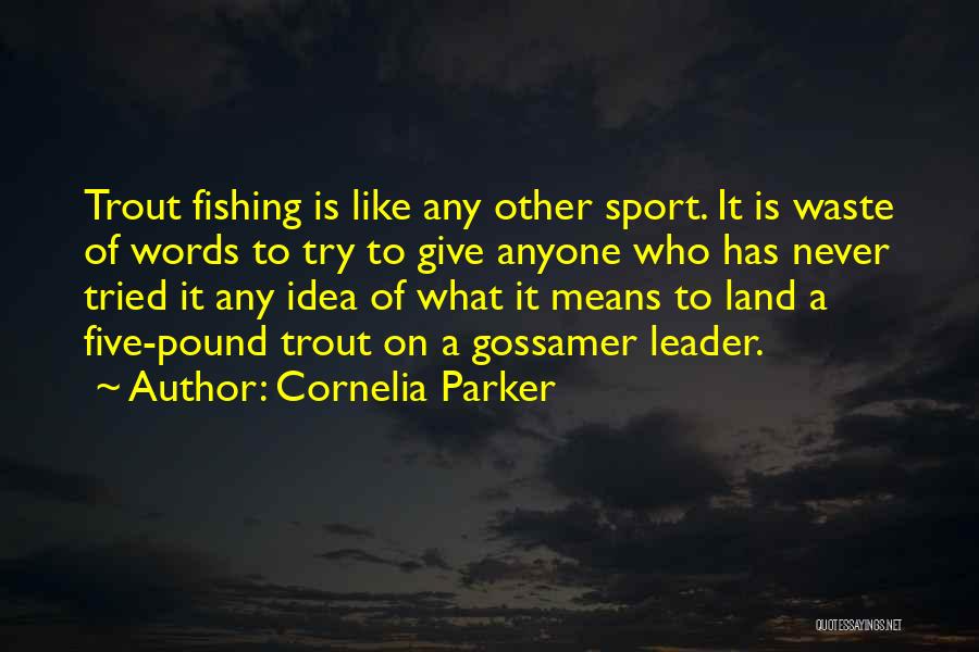 Cornelia Parker Quotes: Trout Fishing Is Like Any Other Sport. It Is Waste Of Words To Try To Give Anyone Who Has Never