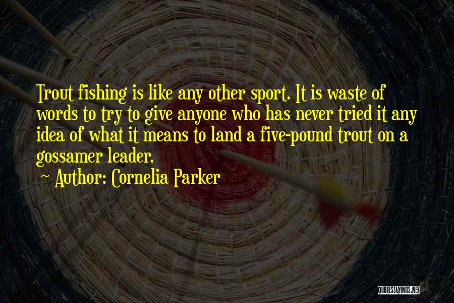 Cornelia Parker Quotes: Trout Fishing Is Like Any Other Sport. It Is Waste Of Words To Try To Give Anyone Who Has Never