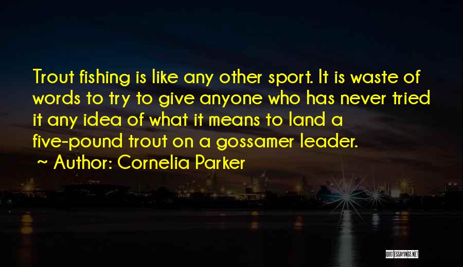 Cornelia Parker Quotes: Trout Fishing Is Like Any Other Sport. It Is Waste Of Words To Try To Give Anyone Who Has Never