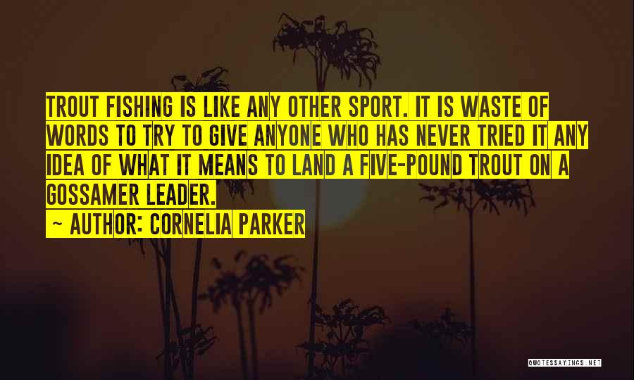 Cornelia Parker Quotes: Trout Fishing Is Like Any Other Sport. It Is Waste Of Words To Try To Give Anyone Who Has Never