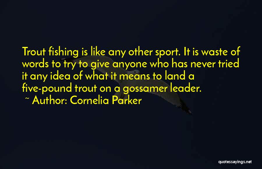 Cornelia Parker Quotes: Trout Fishing Is Like Any Other Sport. It Is Waste Of Words To Try To Give Anyone Who Has Never