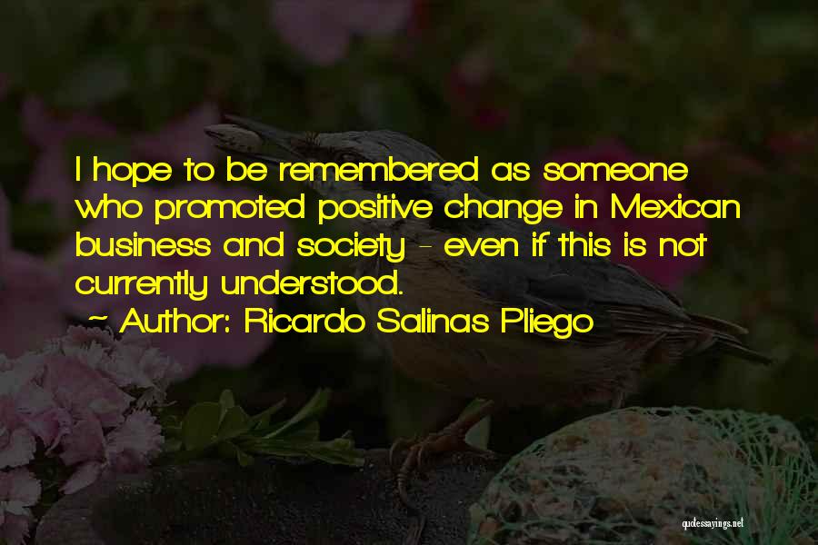 Ricardo Salinas Pliego Quotes: I Hope To Be Remembered As Someone Who Promoted Positive Change In Mexican Business And Society - Even If This
