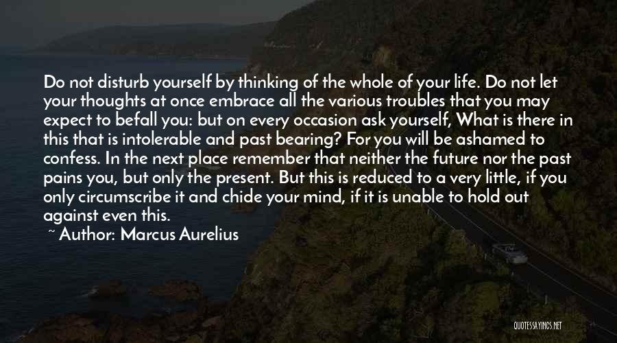 Marcus Aurelius Quotes: Do Not Disturb Yourself By Thinking Of The Whole Of Your Life. Do Not Let Your Thoughts At Once Embrace