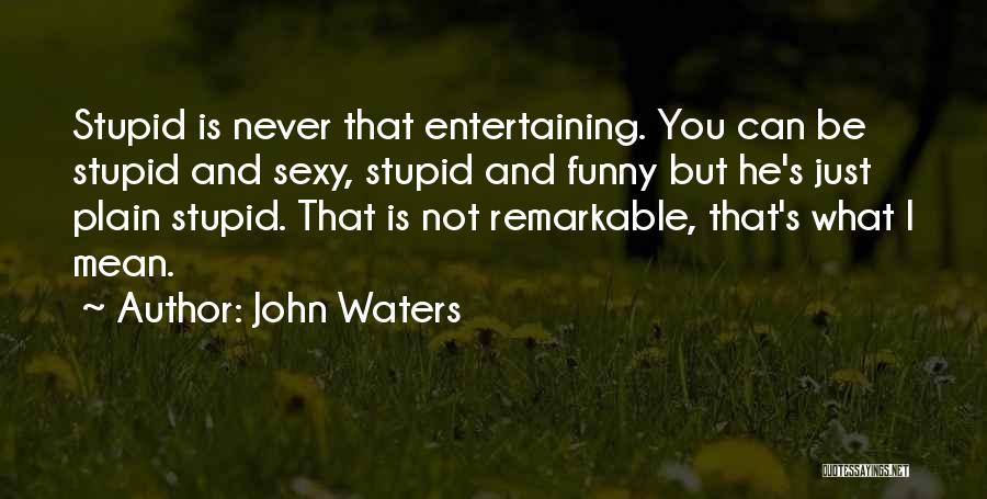 John Waters Quotes: Stupid Is Never That Entertaining. You Can Be Stupid And Sexy, Stupid And Funny But He's Just Plain Stupid. That