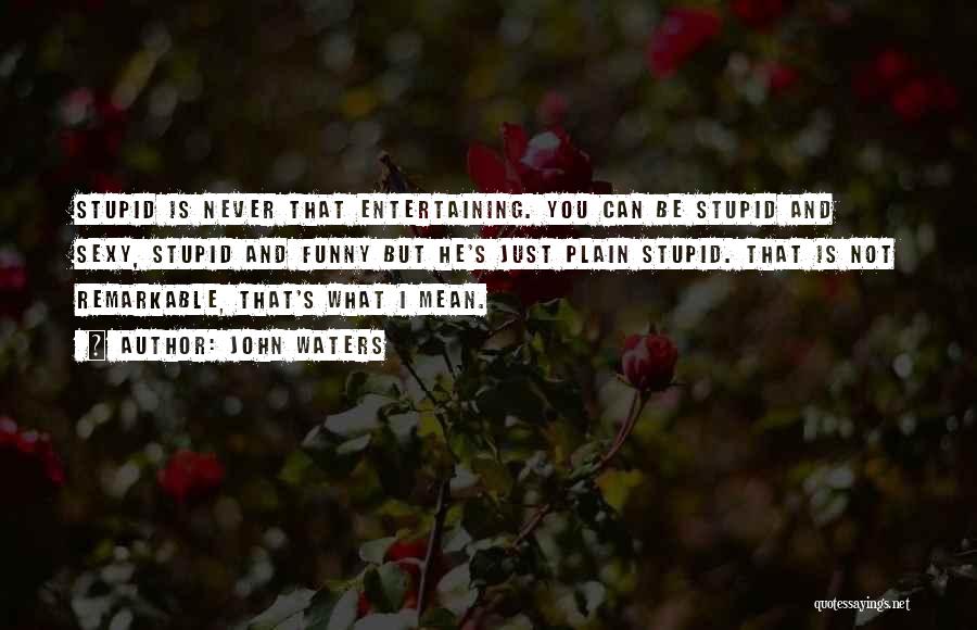 John Waters Quotes: Stupid Is Never That Entertaining. You Can Be Stupid And Sexy, Stupid And Funny But He's Just Plain Stupid. That