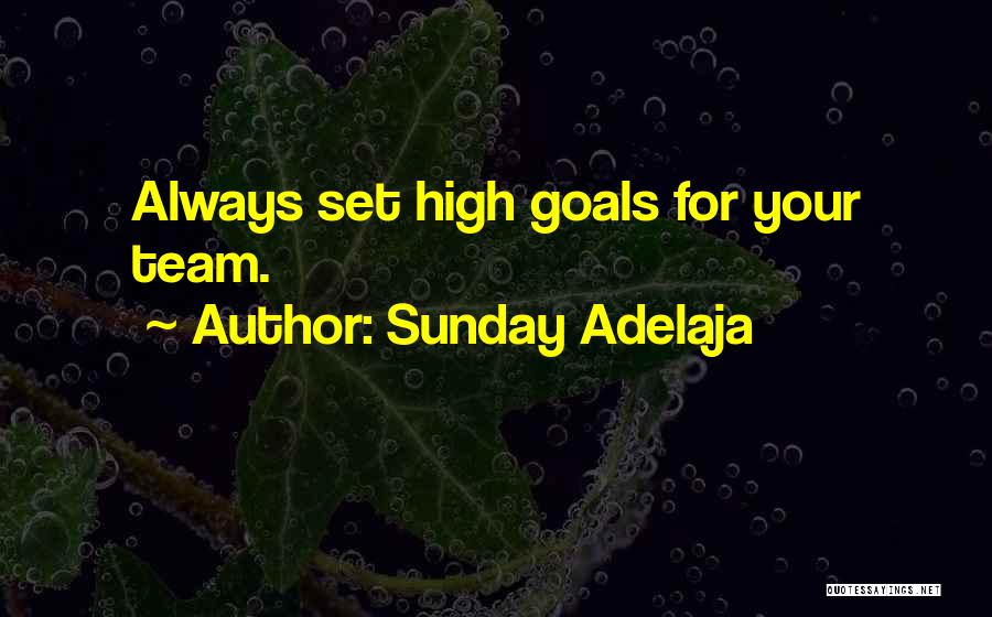 Sunday Adelaja Quotes: Always Set High Goals For Your Team.