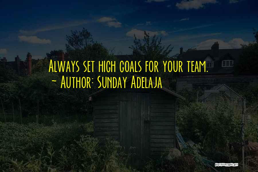 Sunday Adelaja Quotes: Always Set High Goals For Your Team.