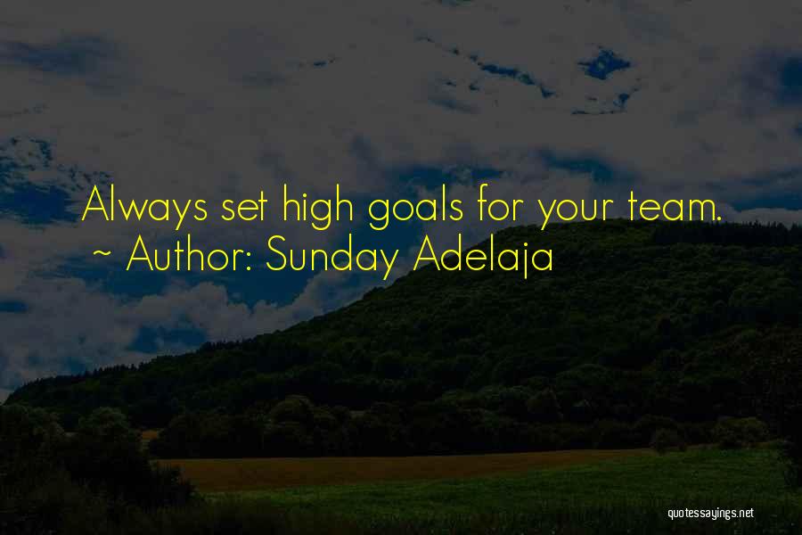Sunday Adelaja Quotes: Always Set High Goals For Your Team.