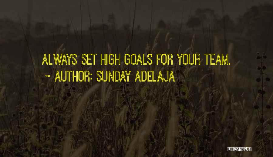 Sunday Adelaja Quotes: Always Set High Goals For Your Team.