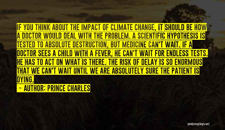 Prince Charles Quotes: If You Think About The Impact Of Climate Change, It Should Be How A Doctor Would Deal With The Problem.