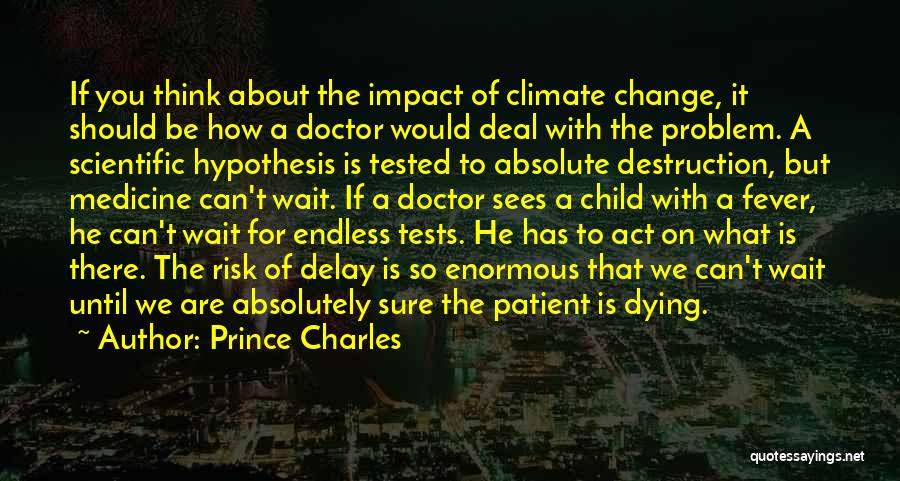 Prince Charles Quotes: If You Think About The Impact Of Climate Change, It Should Be How A Doctor Would Deal With The Problem.