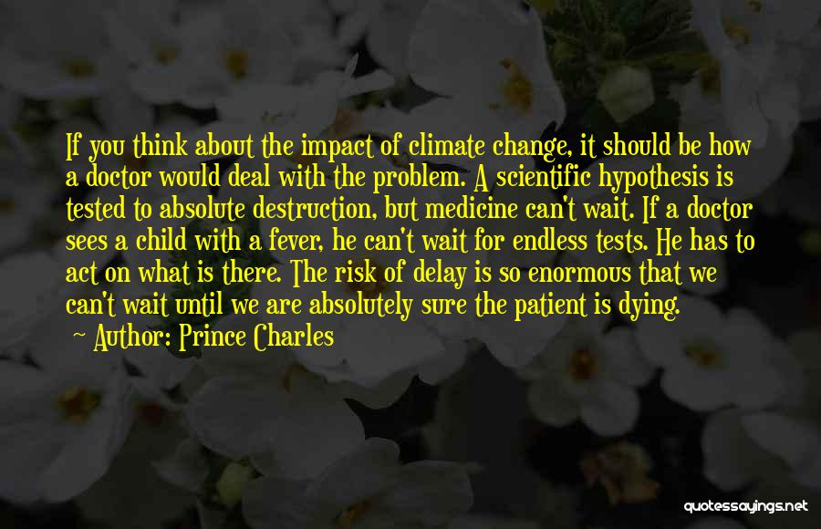 Prince Charles Quotes: If You Think About The Impact Of Climate Change, It Should Be How A Doctor Would Deal With The Problem.