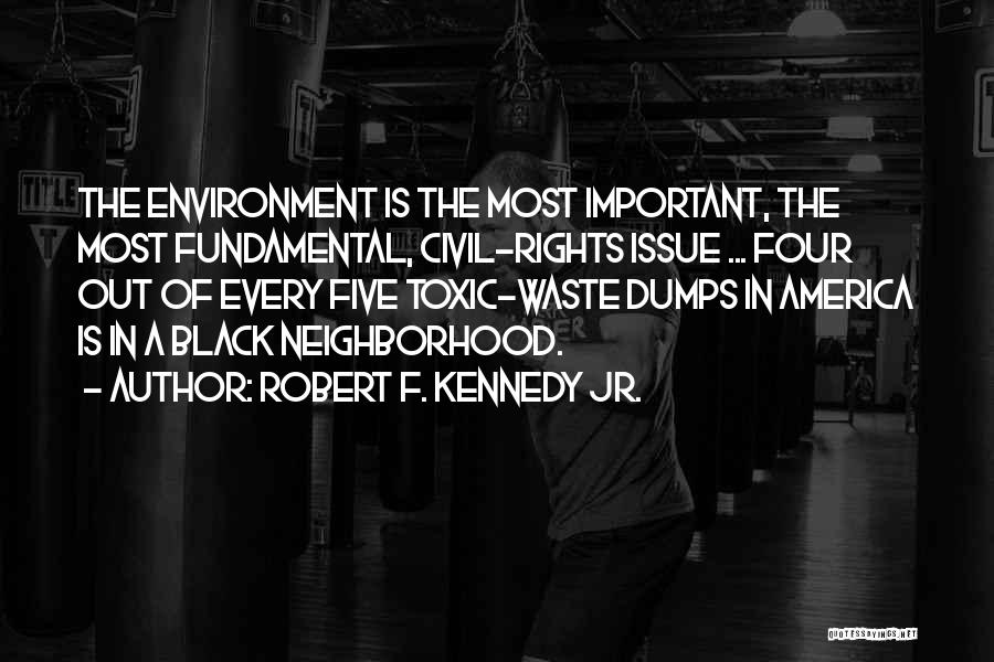 Robert F. Kennedy Jr. Quotes: The Environment Is The Most Important, The Most Fundamental, Civil-rights Issue ... Four Out Of Every Five Toxic-waste Dumps In