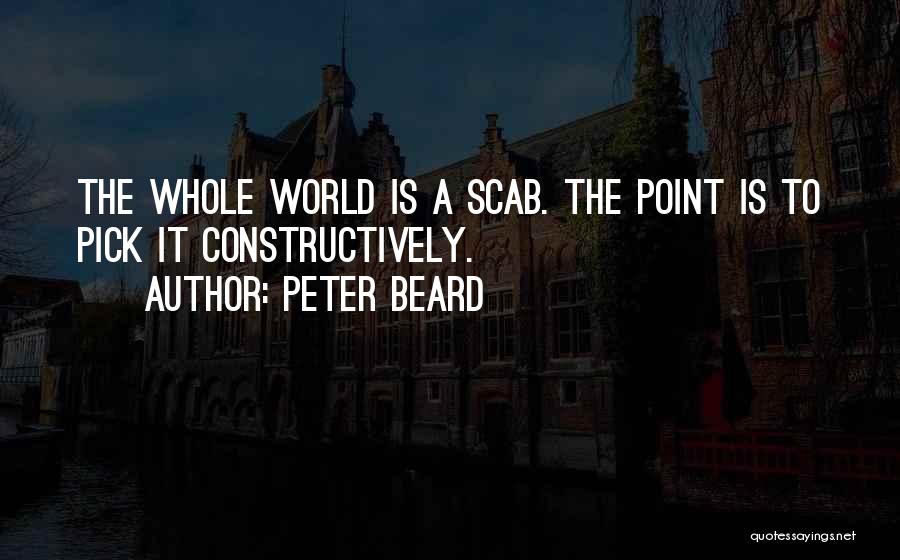 Peter Beard Quotes: The Whole World Is A Scab. The Point Is To Pick It Constructively.